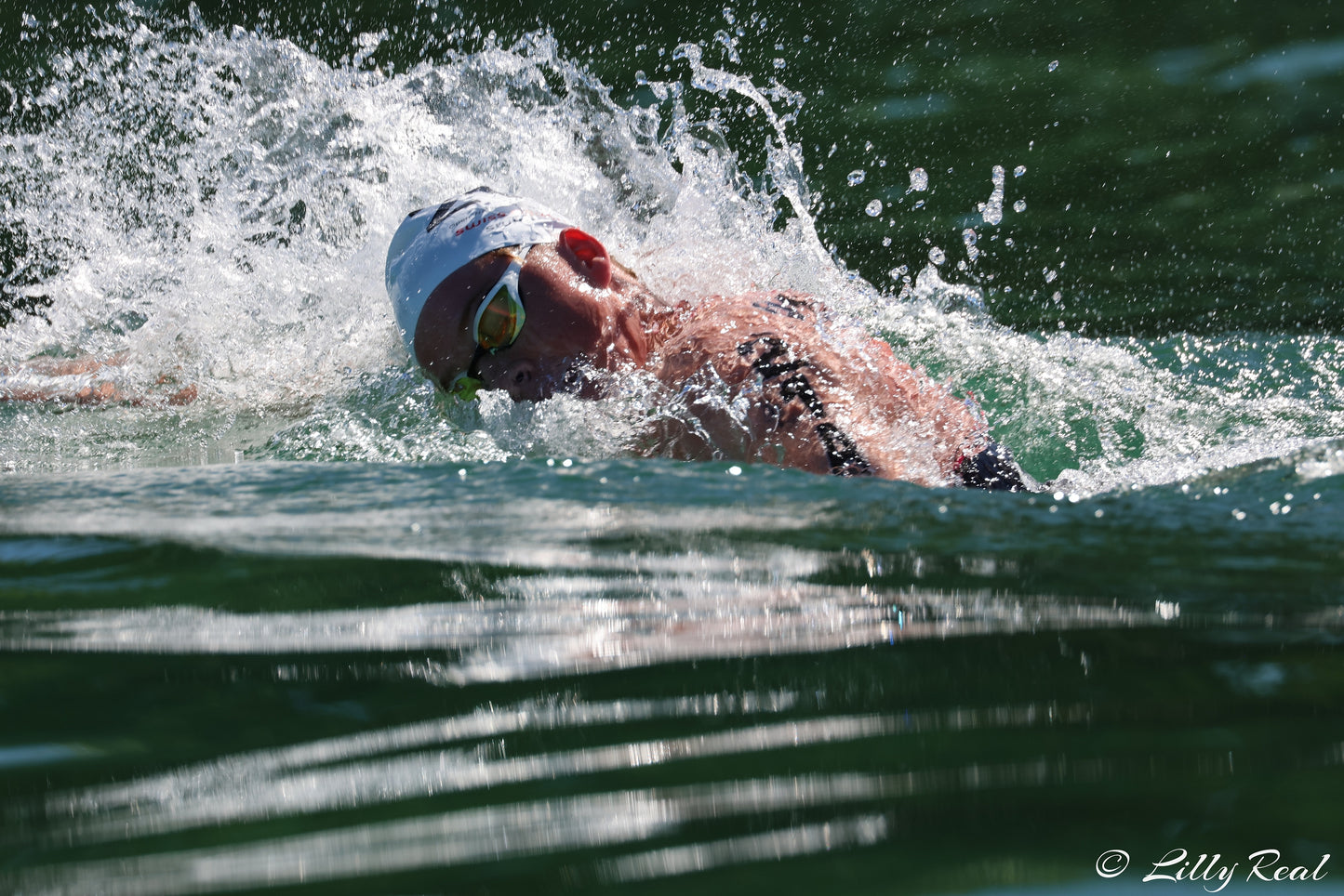 2026 Swim Coaching + FREE Paddles Bundle